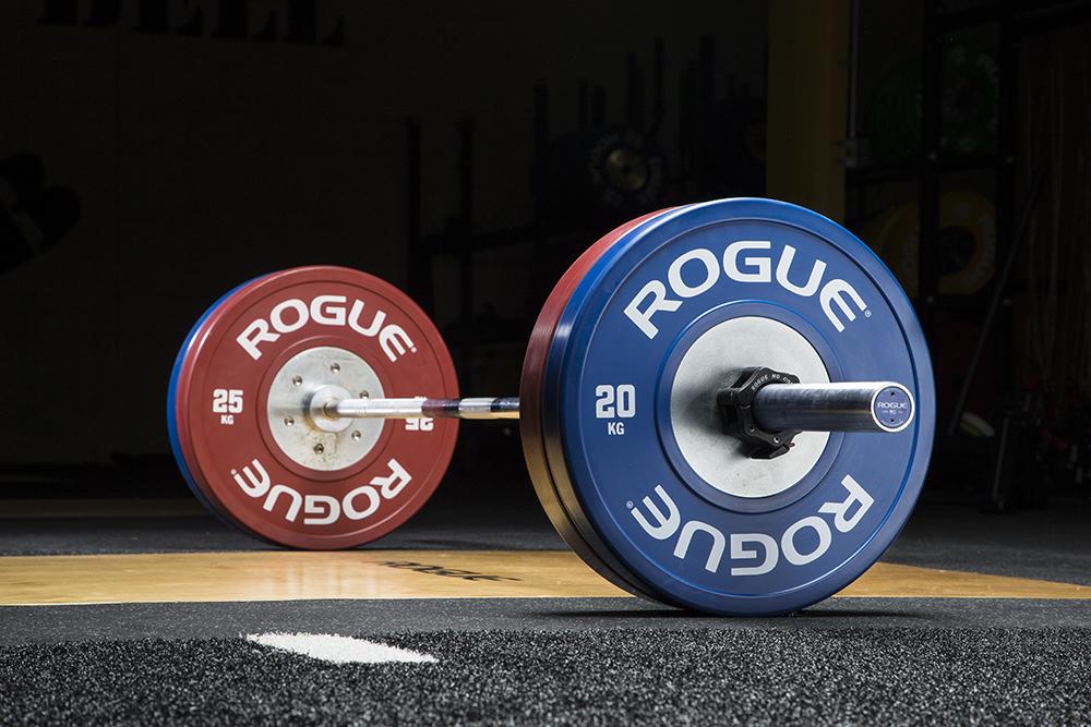 Rogue training 2024 plates